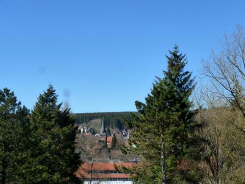 Apartamento Ferienwohnung Weitblick Am Kurpark