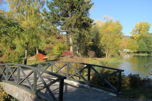 Apartamento Harzgenu�