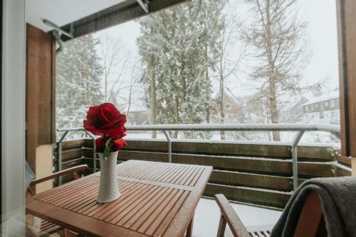 Apartamento Waldmeister Braunlage