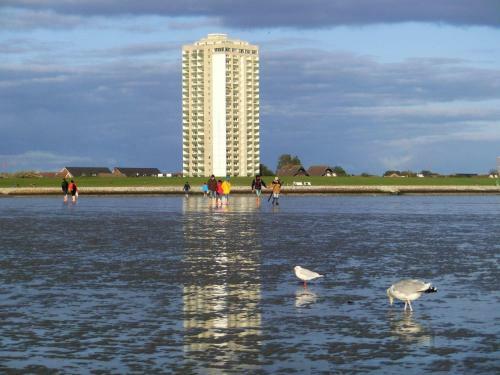 Seawind Cottage - Apartment Moewe