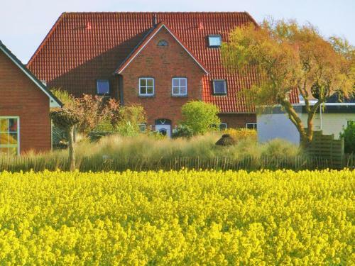 Seawind Cottage - Apartment Seehund