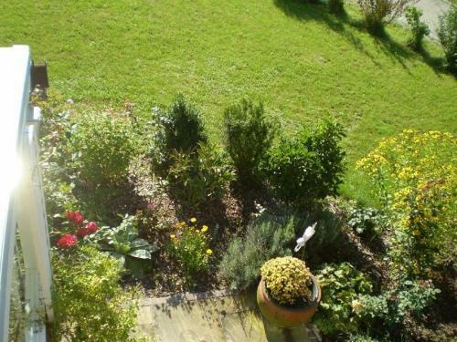 Apartamento Ferienwohnung-veil