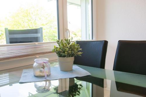 Apartamento Haus Strandburg D�nengras