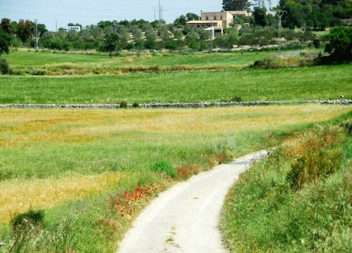 Agroturismo Sa Casa Rotja