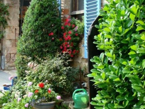 Apartamento Ferienwohnung Toscana