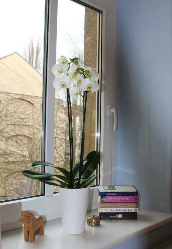 Apartamento Galeriewohnung In Der Neustadt
