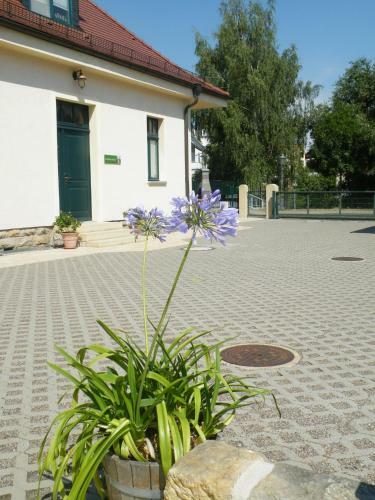 Apartamento Ferienwohnung Kaitzbach-idylle