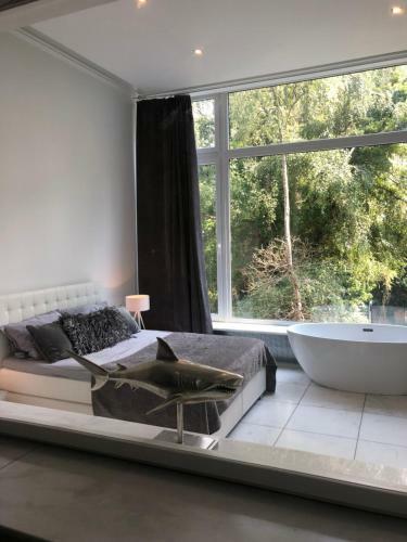 Luxus Apartment In Toplage