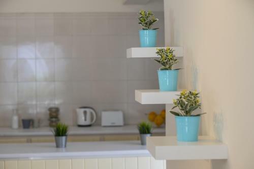 Apartamento Ayia Napa Central Suite