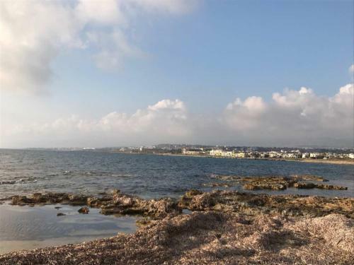 Apartamento Ikaria Village 202