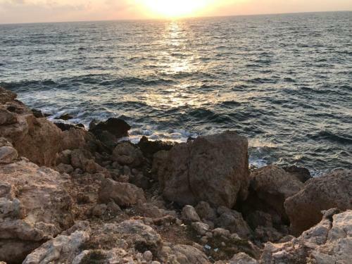 Apartamento Ikaria Village 202