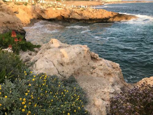 Apartamento Ikaria Village 202