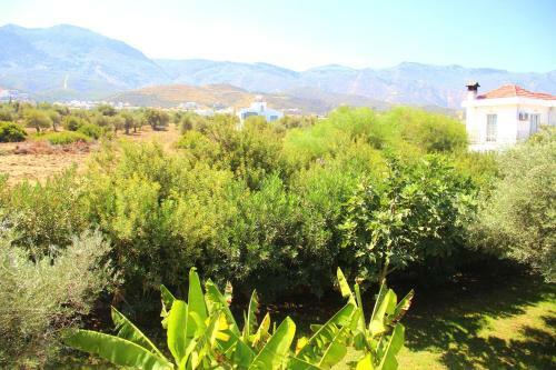 Hotel Bare Hills Guest Rooms