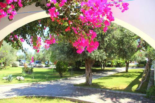 Hotel Bare Hills Guest Rooms