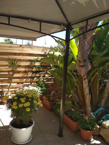 Villa Long Beach Garden
