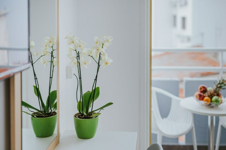 Apartamento Stephanie Studios