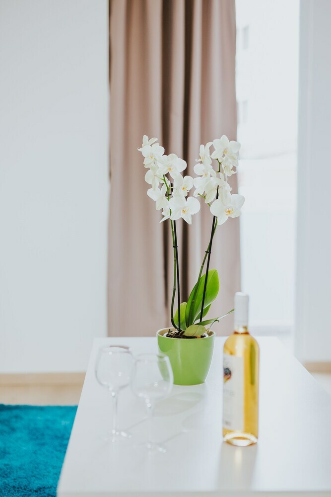 Apartamento Stephanie Studios
