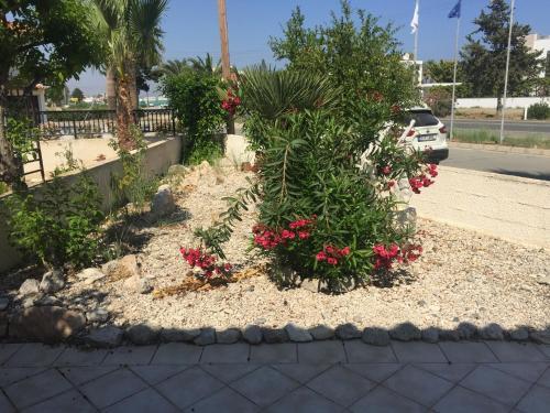Sea Front 2 Bed House