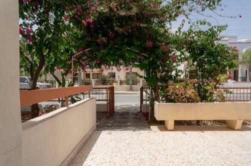 Color Cyprus Dhekelia Apartments