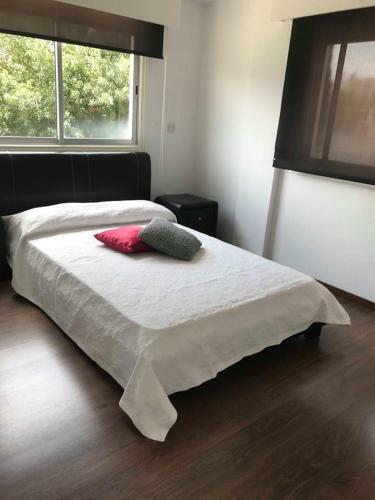 Louly City Apartment