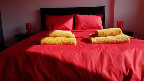 Dezo Luxury Town Apartment