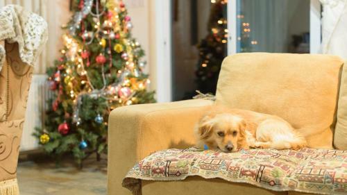 Aristeidou Apartment