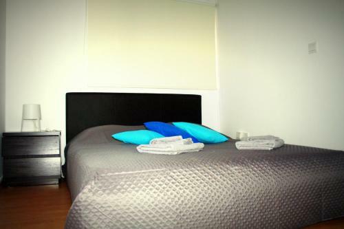 Blue Home Apartment