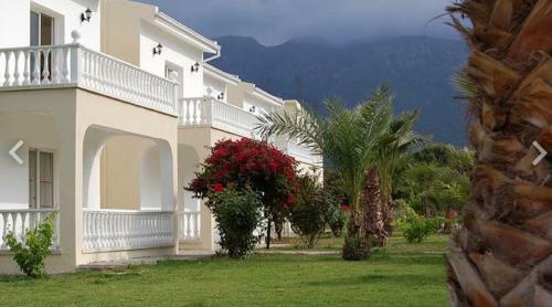 Hotel Mount View