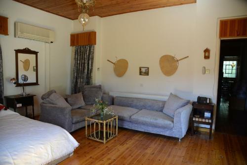 Dynot B&B