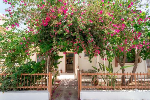 Color Cyprus Dhekelia Apartments
