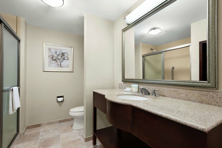Hotel Hampton Inn & Suites Brunswick