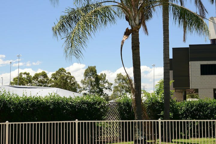 Hotel Chifley Penrith Panthers