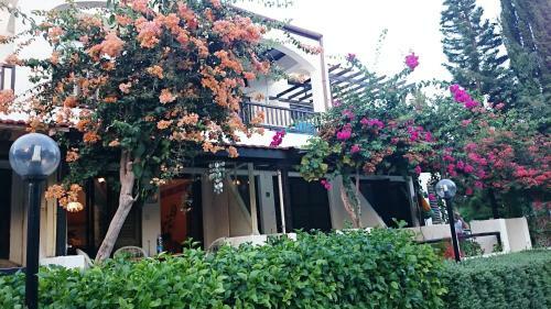 Ibiscus Holiday Apartment
