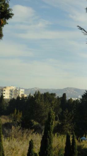 Paphos Holiday Home