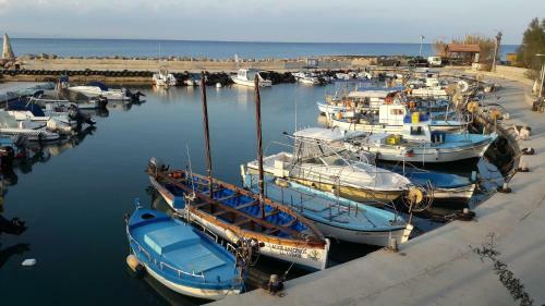 Protaras Sea View Apartment