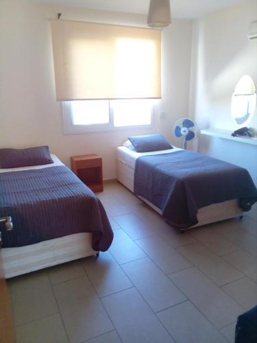 Apartamento Dion 4