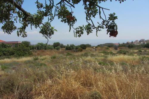 Hostal Pissouri Village House