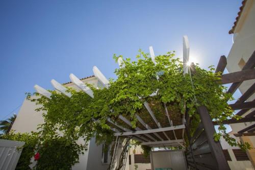 The Ultimate Guide To Renting Your 5 Star Villa Protaras Villa 07