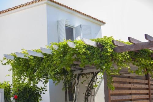The Ultimate Guide To Renting Your 5 Star Villa Protaras Villa 07