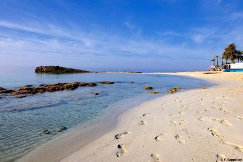 ?your Luxury Sea Front Villa? ? Protaras Villa 01