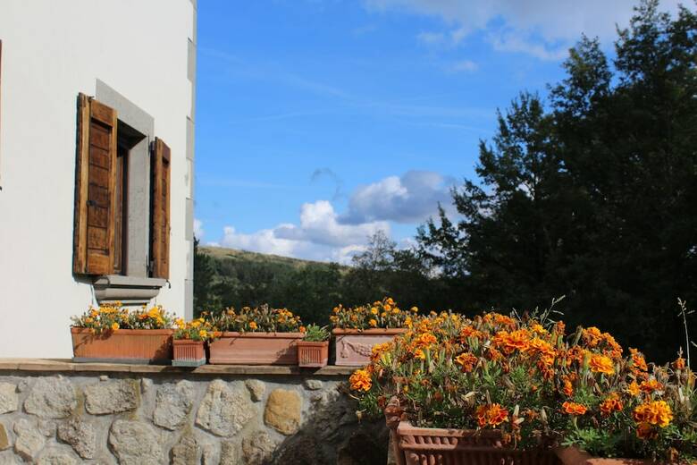 Agroturismo Agriturismo Trefossata