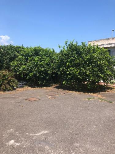 Apartamento Sicily Holidays