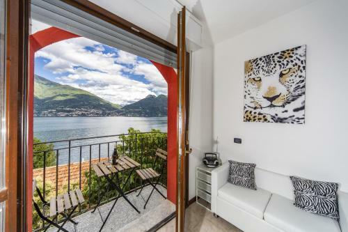 Apartamento Camelia