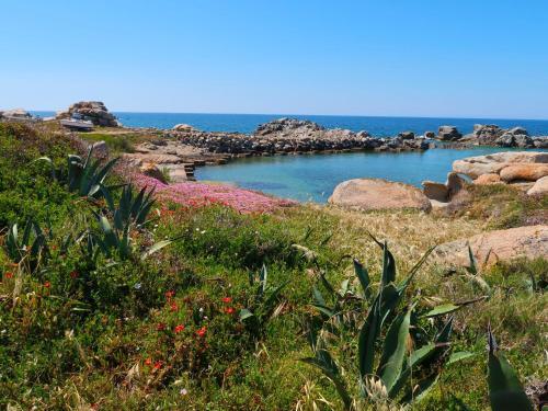 Locazione Turistica Mati