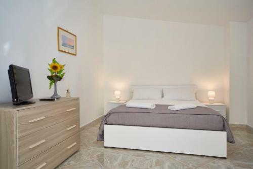 B&B Radici