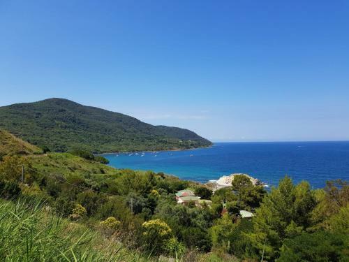B&B Radici