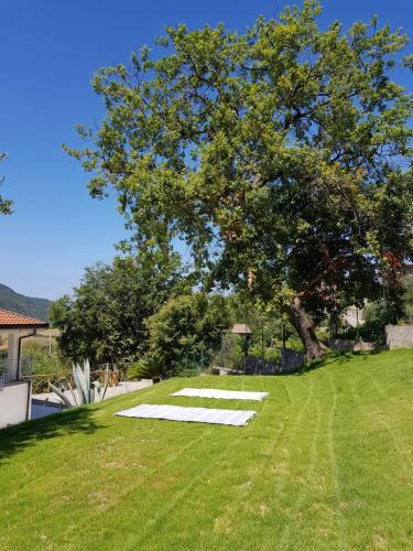 B&B Radici