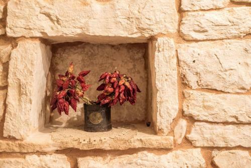 Bed & Breakfast Il Trullo Dell'agricoltore