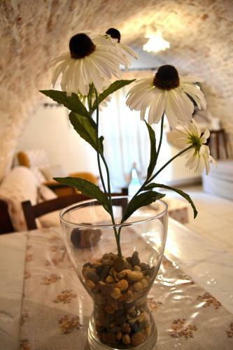 Bed & Breakfast Converse Fra I Trulli