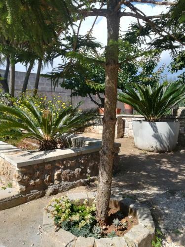Villa In Pietra Nel Verde - Capo Di Leuca